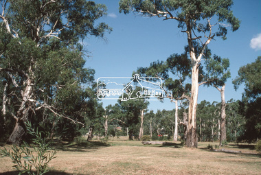 Slide - Photograph, Wingrove Park, Main Road, Eltham, c.Mar. 1989