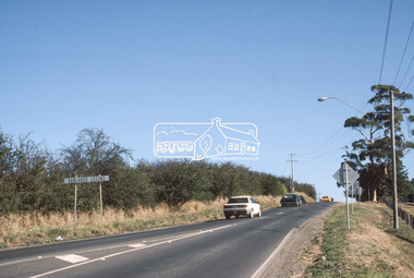 Slide - Photograph, Hawthorn hedgerow, Eltham-Yarra Glen Road, Kangaroo Ground, c.Mar. 1989