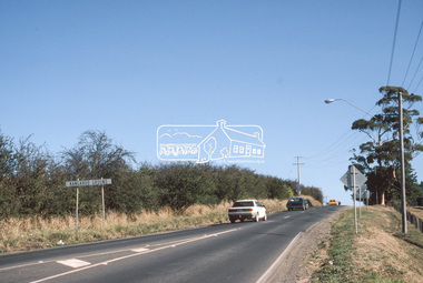 Slide - Photograph, Hawthorn hedgerow, Eltham-Yarra Glen Road,, Kangaroo Ground, c.Mar. 1989