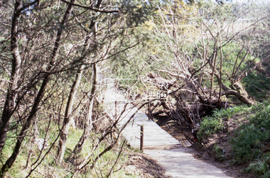 Slide - Photograph, Dalton Street Footbridge, Eltham, c.Sep. 1989