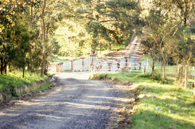 Slide - Photograph, Aqueduct Bridge, Nicholas Lane, Kangaroo Ground, c.Sep. 1989
