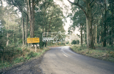 Slide - Photograph, Heidelberg-Kinglake Road, Kinglake, c.June 1990