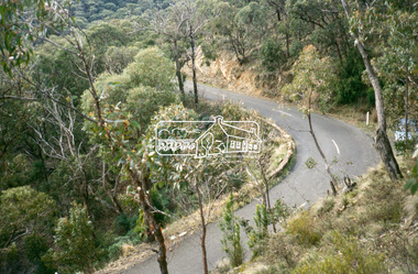 Slide - Photograph, Heidelberg-Kinglake Road, Kinglake National Park, c.June 1990