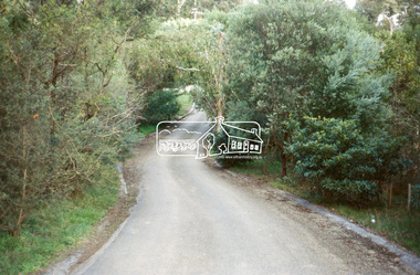 Slide - Photograph, Riverhill Drive, Lower Plenty, c.June 1990