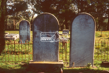 Slide - Photograph, Kangaroo Ground Cemetery, Cemetery Road, Kangaroo Ground, 27 May 1990