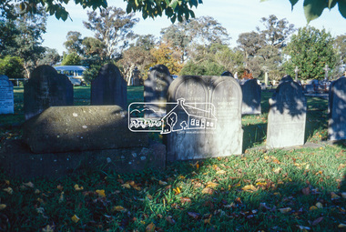 Slide - Photograph, St Katherine's Church Cemetery, 279 St Helena Road, St Helena, 27 May 1990