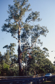 Slide - Photograph, Main Road Bridge, Eltham South, c.1992