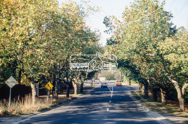Slide - Photograph, Avenue of Honour, Main Road, Eltham, c.1992