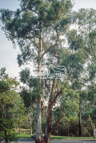 Slide - Photograph, Main Road, Eltham South, c.Apr. 1993