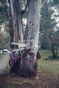 Slide - Photograph, World Environment Day 1993, Main Road, Eltham, 5 June 1993