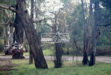 Slide - Photograph, World Environment Day 1993, Main Road, Eltham, 5 June 1993