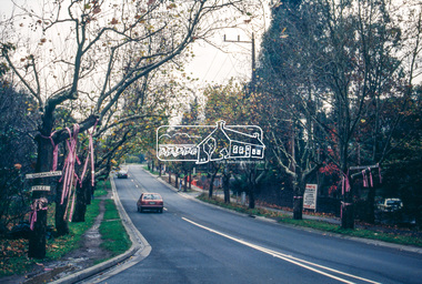Slide - Photograph, World Environment Day 1993, Avenue of Honour, Main Road, Eltham, 5 June 1993