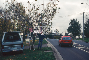 Slide - Photograph, World Environment Day 1993, Avenue of Honour, Main Road, Eltham, 5 June 1993
