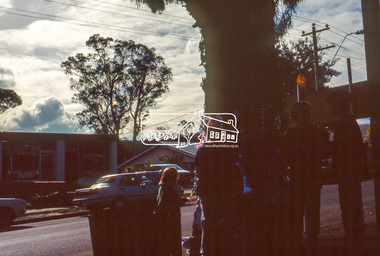Slide - Photograph, World Environment Day 1993, Heidelberg-Kinglake Road, Hurstbridge, 5 June 1993