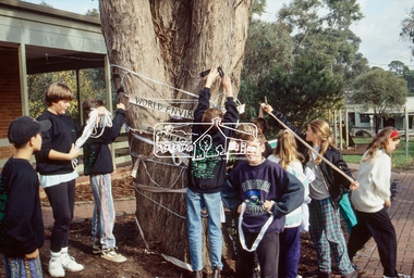 Slide - Photograph, World Environment Day 1993, Heidelberg-Kinglake Road, Hurstbridge, 5 June 1993