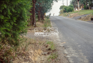Slide - Photograph, Reynolds Road, Eltham, c.1993