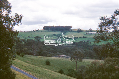 Slide - Photograph, Memorial Park, Garden Hill, Kangaroo Ground, c.1993