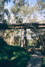 Slide - Photograph, Eltham Railway Trestle Bridge, c.Nov. 2001