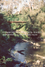 Slide - Photograph, Gum Glade Footbridge, Eltham North, c.Nov. 2001