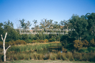 Slide - Photograph, Wetlands, Eltham North, c.Nov. 2001