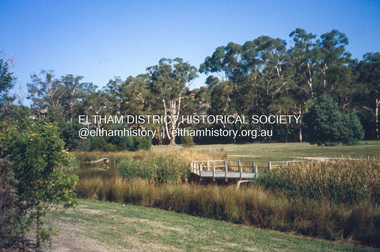 Slide - Photograph, Wetlands, Eltham North, c.Nov. 2001