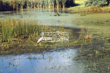 Slide - Photograph, Ferguson's Paddock, Arthurs Creek Road, Hurstbridge, c.Nov. 2001