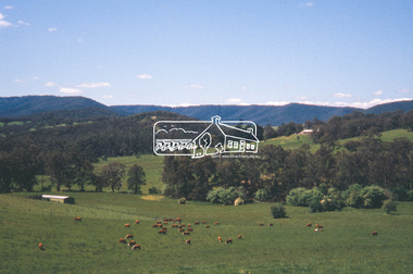 Slide - Photograph, Mittons Bridge Road, St Andrews, c.Nov. 2001