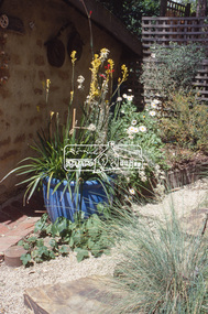 Slide - Photograph, Peter Street, Eltham, c.2004