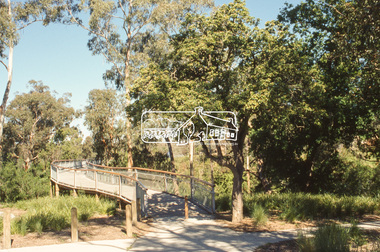 Slide - Photograph, Pear tree, Partington's Flat, Greensborough, c.2004