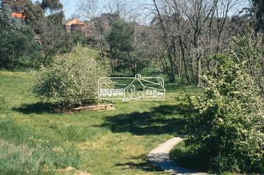 Slide - Photograph, Batman Apple tree (Malus pumila), Plenty RIver Walking Trail, Corowa Crescent, Greensborough, c.2004