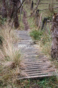 Slide - Photograph, Smiths Gully to St Andrews, Nature History Trail, c.2004