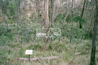 Slide - Photograph, Smiths Gully to St Andrews, Nature History Trail, c.2004