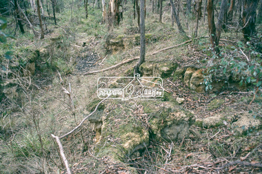 Slide - Photograph, Smiths Gully to St Andrews, Nature History Trail, c.2004