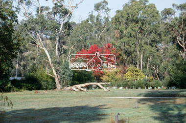 Slide - Photograph, Autumn tree, Laughing Waters Road, Eltham, c.2004