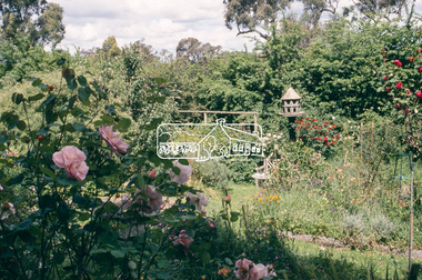 Slide - Photograph, Gardens, Montsalvat, Eltham, c.2004
