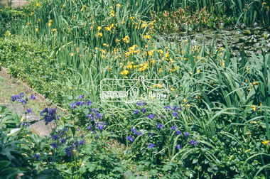 Slide - Photograph, Gardens, Montsalvat, Eltham, c.2004