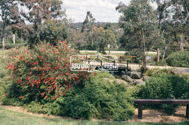 Slide - Photograph, Gardens, Eltham Cemetery, c.2004