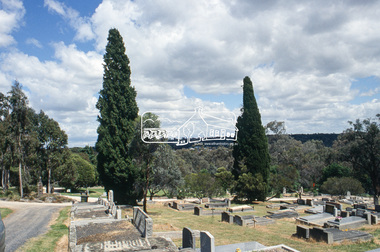 Slide - Photograph, Gardens, Eltham Cemetery, c.2004