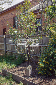 Slide - Photograph, Blanche Shallard Tree, Local History Centre, 728 Main Road, Eltham, c.2004