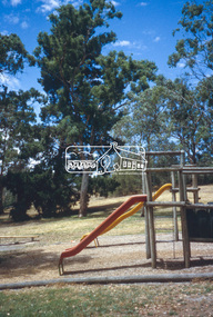 Slide - Photograph, Candle Bark, Eltham Lower Park, c.2004