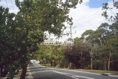 Slide - Photograph, Avenue of Honour, Main Road, Eltham, c.2004