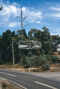 Slide - Photograph, Phone Tree, Burns Street, St Andrews, c.2004
