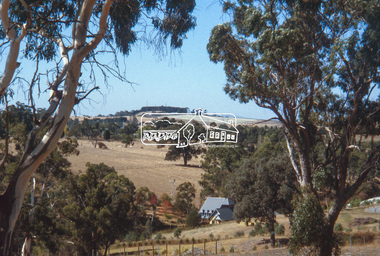 Slide - Photograph, Garden Hill, Kangaroo Ground, c.2004