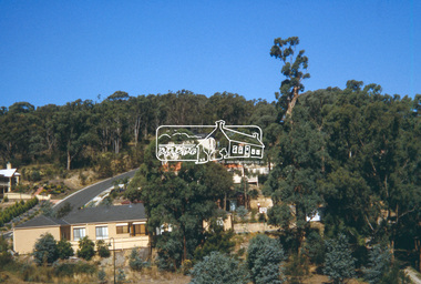 Slide - Photograph, Yellow Box, Kalbar Road Reserve, Eltham, c.2004