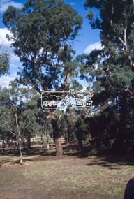 Slide - Photograph, Yellow Box, Eltham Lower Park, c.2004