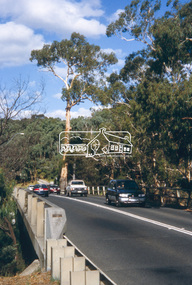 Slide - Photograph, Manna Gum, Main Road, Eltham South, c.2004