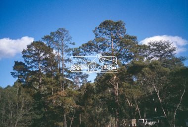 Slide - Photograph, Trees at Hurst family graves, Graysharps Road, Hurstbridge, c.2004