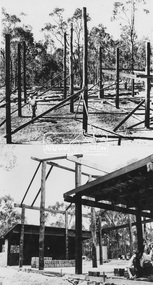 Photograph, John Serle House and Studio (1971)