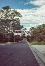 Photograph, Baldwin Avenue, Montmorency, Oct. 1980