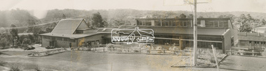 Photograph, Wendy Wilson, Our Lady Help of Christians Primary School, 1-13 Henry St, Eltham, c.1980